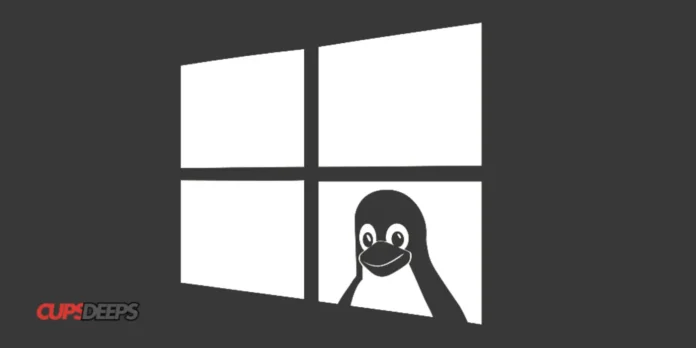 WSL on windows